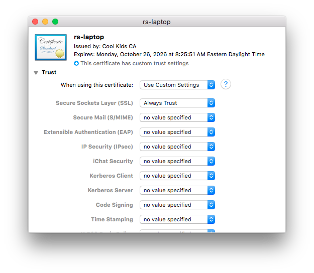 While we're at it, trust the cert (default is no trust because signed by unknown CA)
