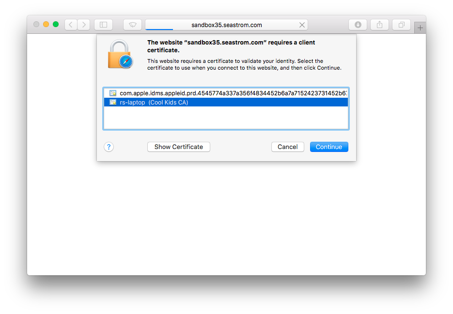 Now it will present this cert as an alternative
